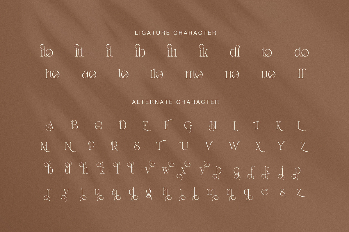 Bandito Elegant Contrast Serif Font, a Serif Font by Graphicxell (Photo 8 of 8)