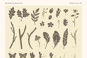 Songbirds graphic collection, a Decorative Illustration by Piñata (Thumbnail 5 of 10)