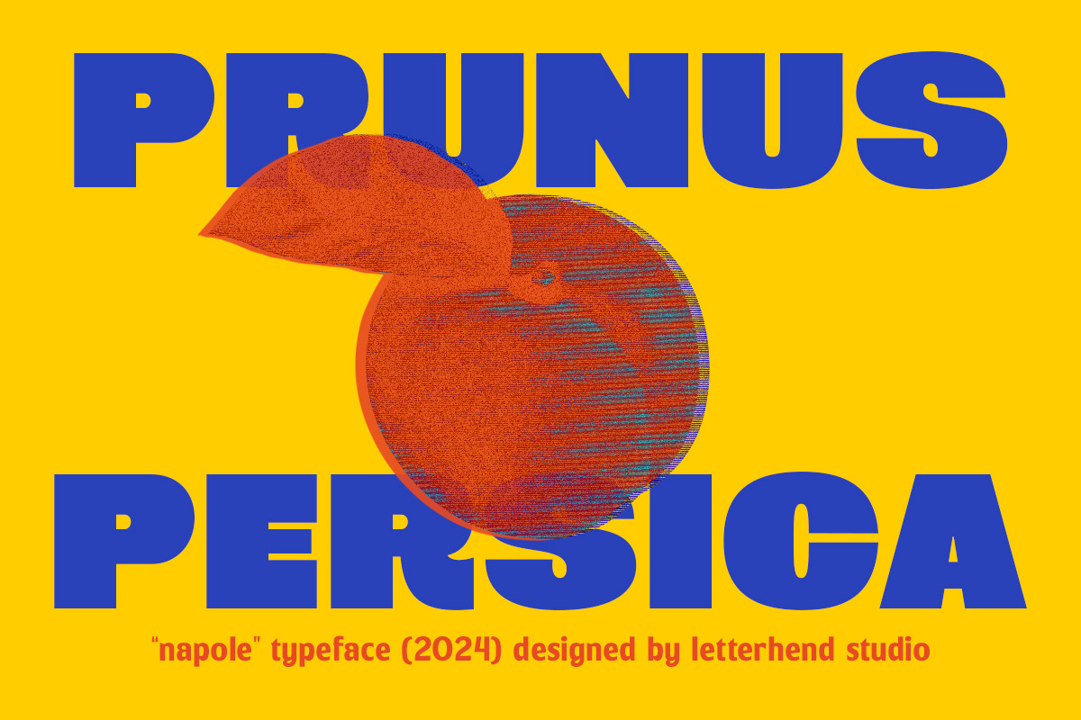 Napole Bold Sans, a Sans Serif Font by Letterhend Studio (Photo 3 of 9)