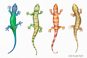 Tropic life Watercolor set, an Animal Illustration by Green_leaf_17 (Thumbnail 3 of 6)