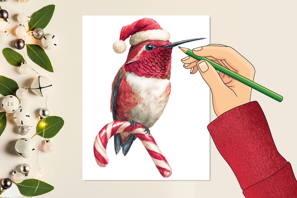 Funny Red Hummingbird Clipart, an Illustration by designcity5 (Photo 4 of 5)