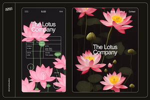 Lotus Flowers