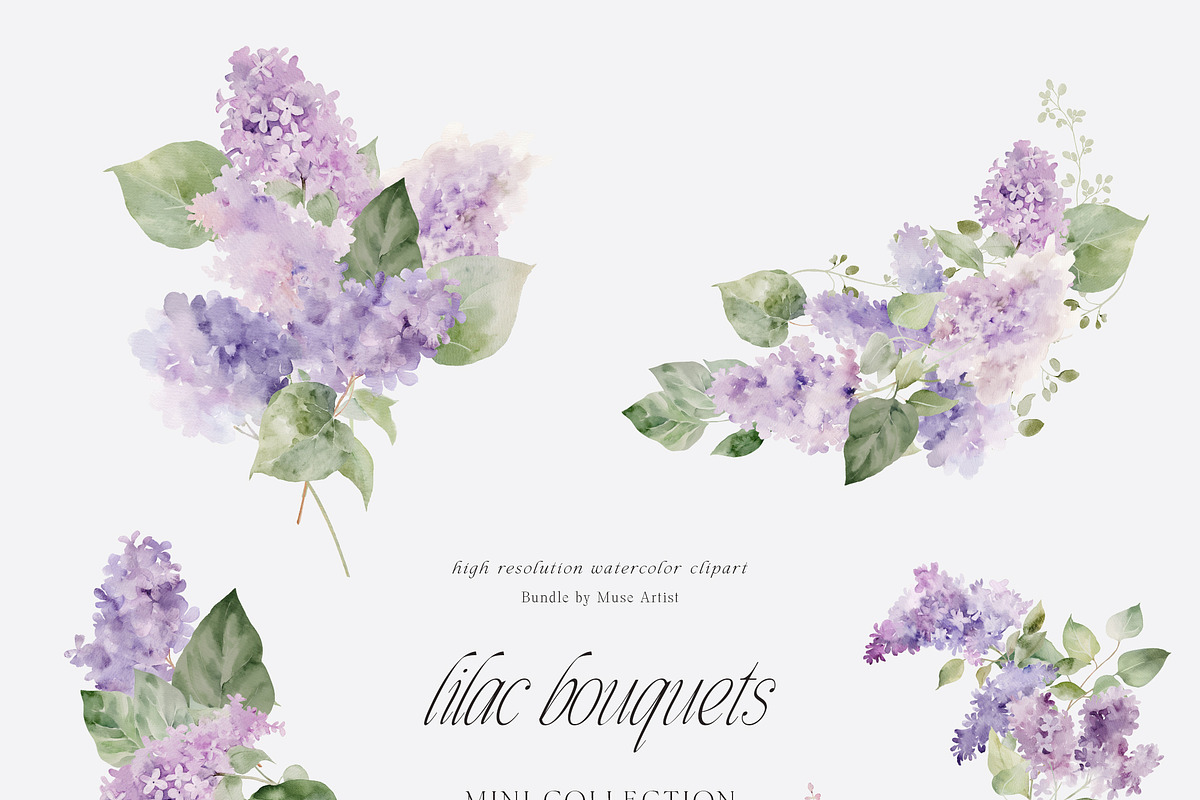 SPRING BOX Watercolor Bundle 400+, a Decorative Illustration by Muse Artist (Photo 29 of 99)