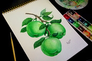 Fruits and berries collection_part 1, an Illustration by ZotovShop (Thumbnail 17 of 20)