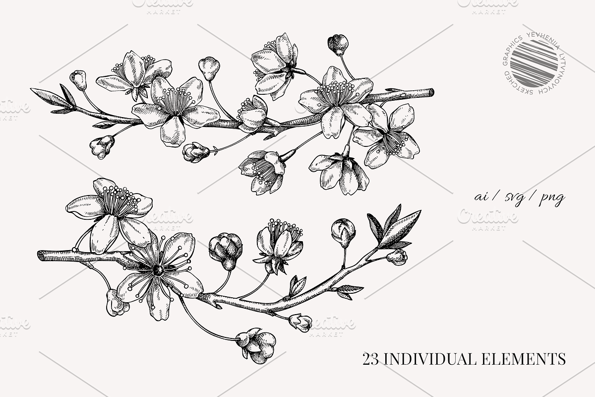 Vintage Cherry Blossom Vector Set, an Object Graphic by Yevheniia (Photo 3 of 9)