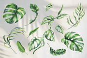 Tropical Leaves Watercolor Set, a Seasonal Illustration by NATASHA CHU (Thumbnail 2 of 13)