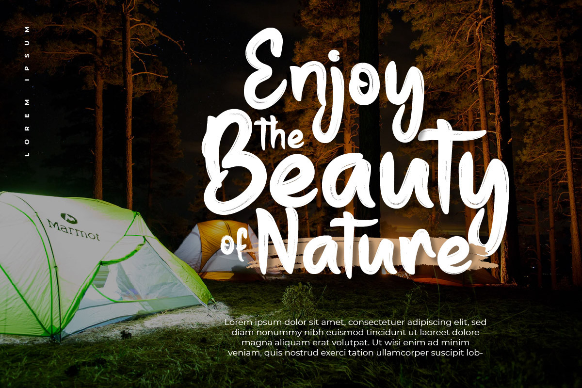 Dactylus - Brush Handwritten Font, a Handwritten Font by productype1 (Photo 8 of 9)