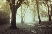 25 Dual Tone Landscape Presets, a Preset Add-On by Timeless Presets (Thumbnail 6 of 10)
