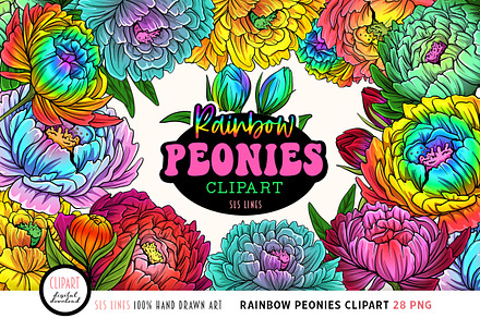 Rainbow Peonies Flower Clipart