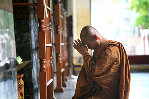 Thai buddhist monk praying stock photo containing monk and thailand