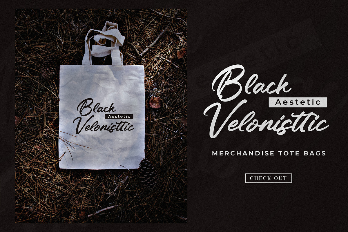 Neckaratt, a Script Font by Integritype Studio (Photo 2 of 15)
