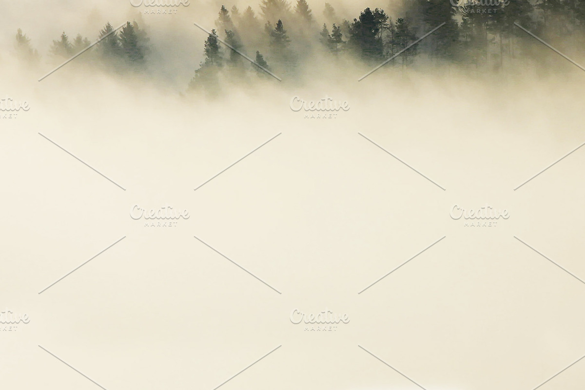 Foggy Mountain Slide Template, a Presentation Template by DesignedBetter (Photo 3 of 7)