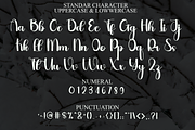 Christian, a Handwritten Font by FreshTypeINK (Thumbnail 3 of 8)