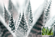 Old Bleach Photoshop Effect, a Templates & Theme by velvetmade.designs (Thumbnail 11 of 12)