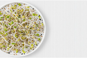 On a white background, a plate, a Food & Drink Photo by ZinetroN