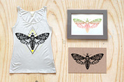 Textured moth in ethnic style, a Texture Illustration by AnastasiaFears (Thumbnail 2 of 3)