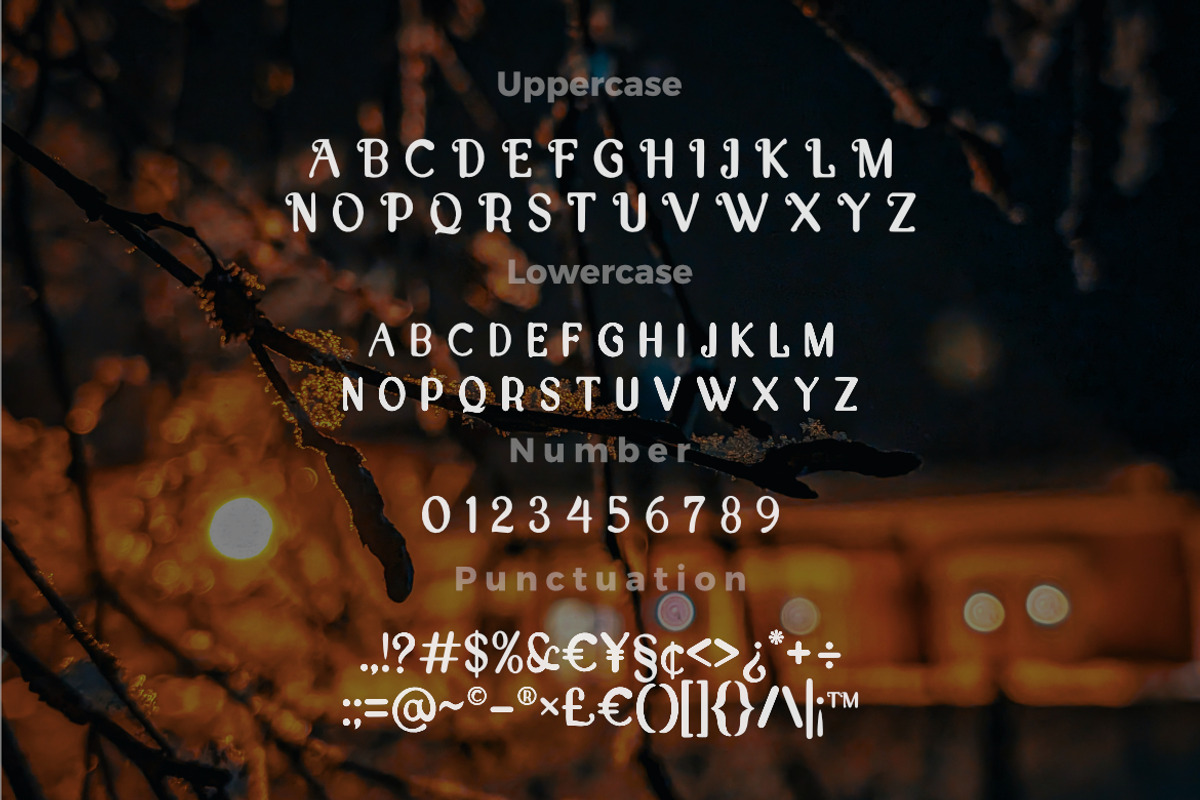 Aquees | A Classic Serif Font, a Serif Font by Bayuktx (Photo 3 of 5)