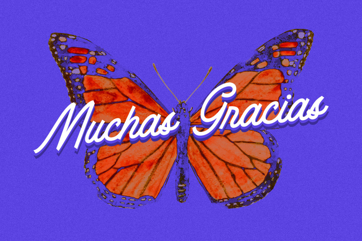 Gadira - Display Script Font, a Script Font by Letterhend Studio (Photo 8 of 8)