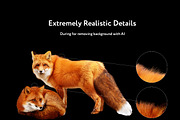 24 Fox Photo Overlays, an Action Add-On by PhotoEffects.Store (Thumbnail 9 of 10)
