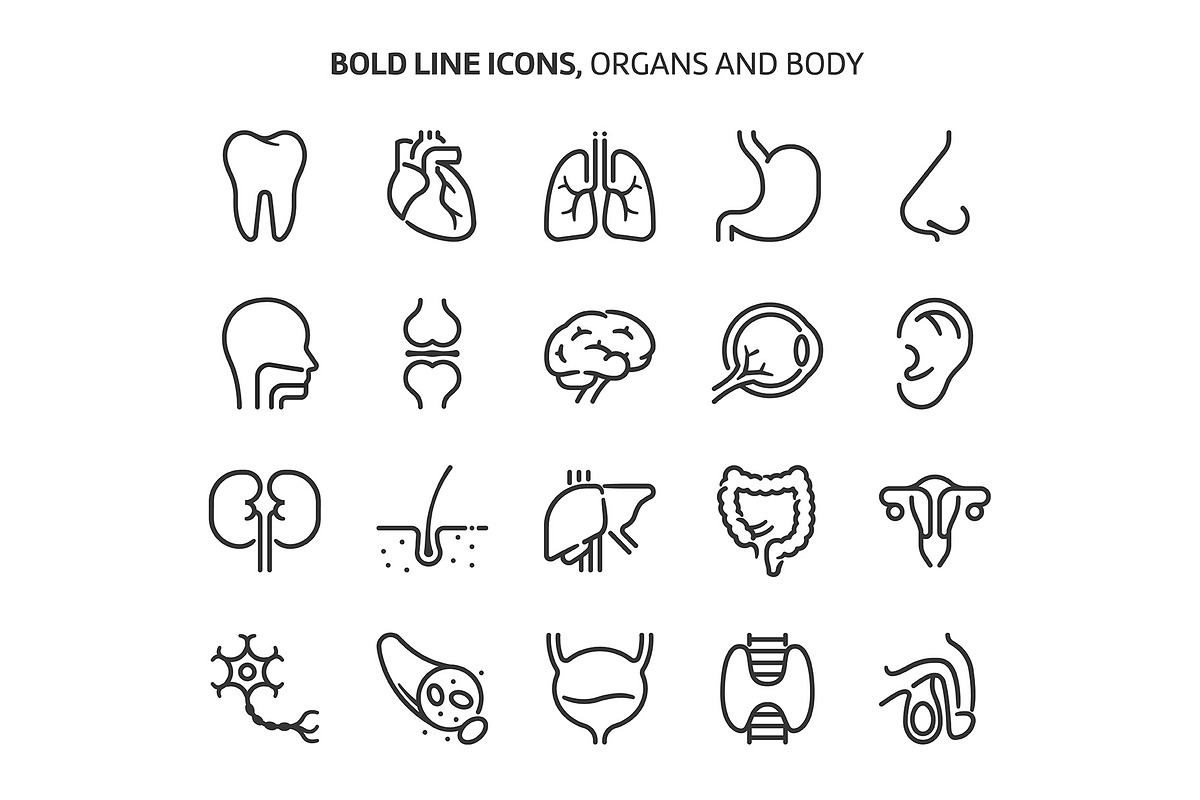 Bold Line Icons, an Outline Icon by Howcolour (Photo 39 of 151)