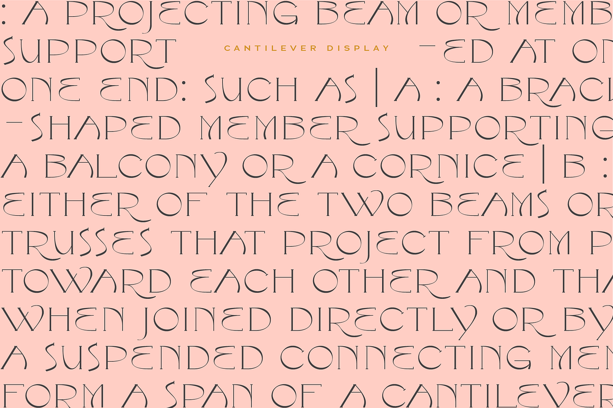 Cantilever Display Font, a Serif Font by PiiNK iiNK STUDiO (Photo 9 of 13)