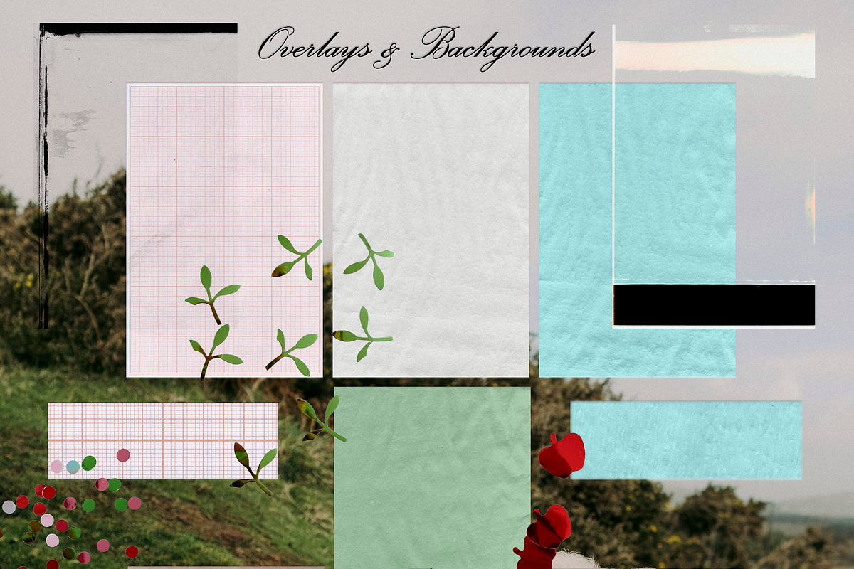 Thanks, it's the trauma: collage, an Object Graphic by Purple (Photo 7 of 11)
