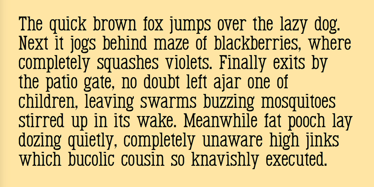 Renslaer, a Serif Font by Ingrimayne Type (Photo 3 of 5)