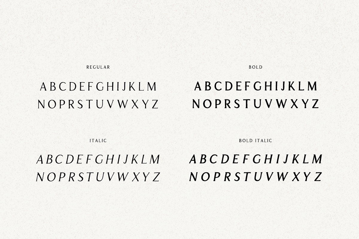 Apricot - Handlettered Serif Font preview 8