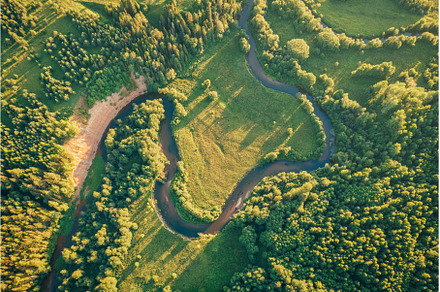 Fields and small narrow winding, a Nature Photo by Fascinadora