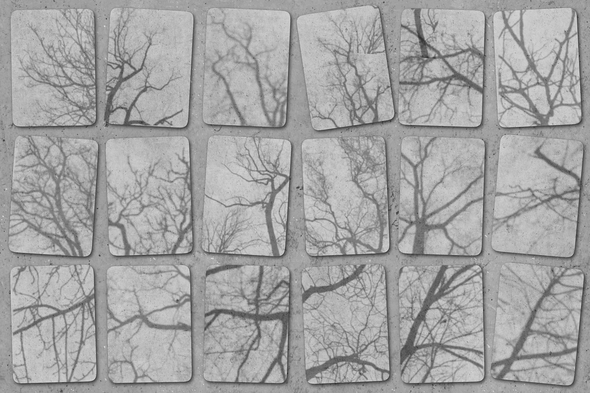 Tree shadow overlay stamps Procreate, a Brush Add-On by TheWhiteCatLab (Photo 5 of 9)