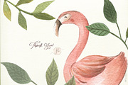 Wild Creatures, an Animal Illustration by Flora+Bear (Thumbnail 7 of 7)
