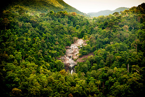 Jungle Waterfall Malaysia, a Nature Photo by THP Creative