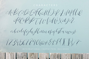 Route Nine Script Font