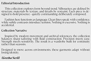 GrethaSerif, a Serif Font by Propertype (Thumbnail 7 of 14)