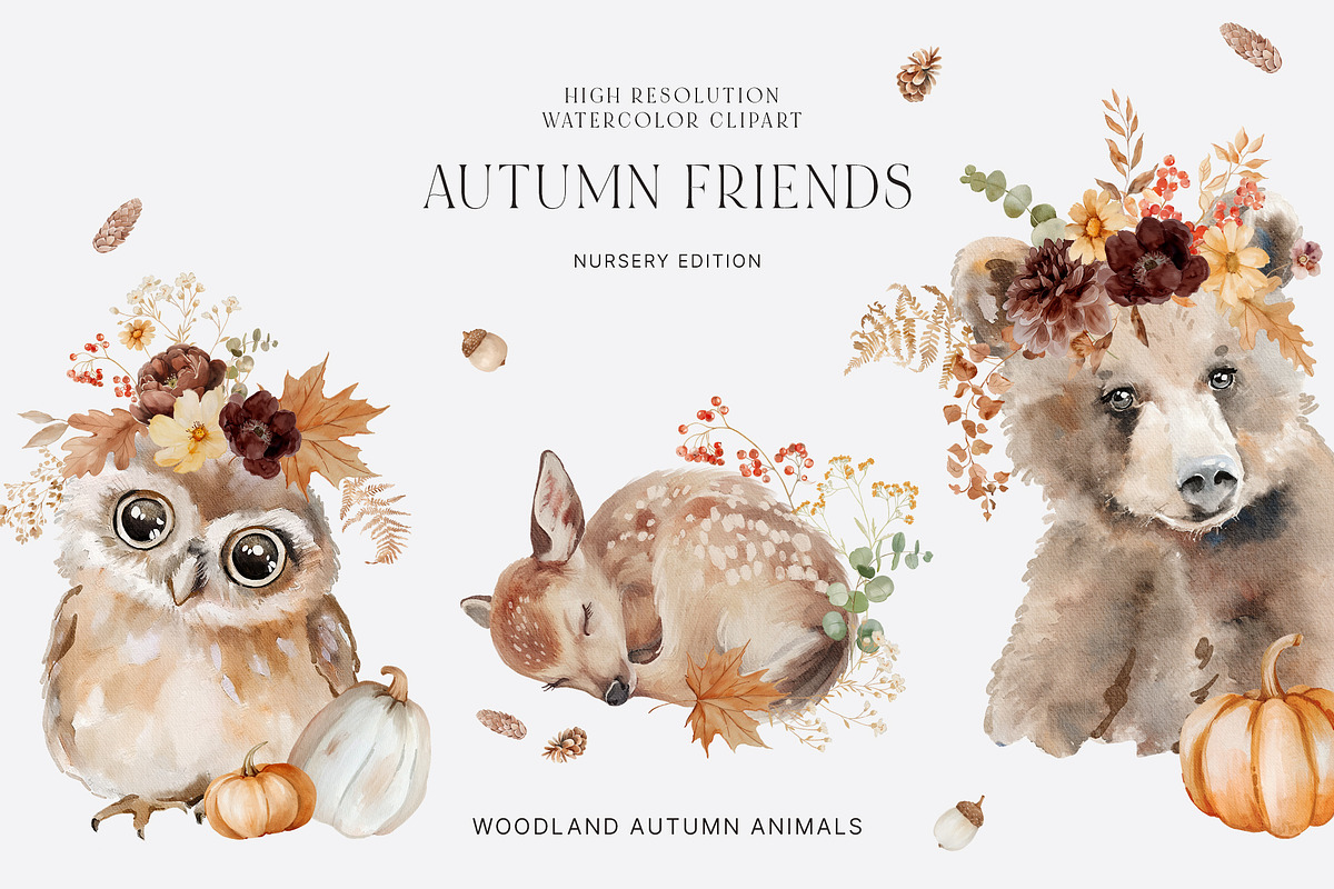 CREATIVE DESIGN BUNDLE - 15K, a Decorative Illustration by Muse Artist (Photo 17 of 60)