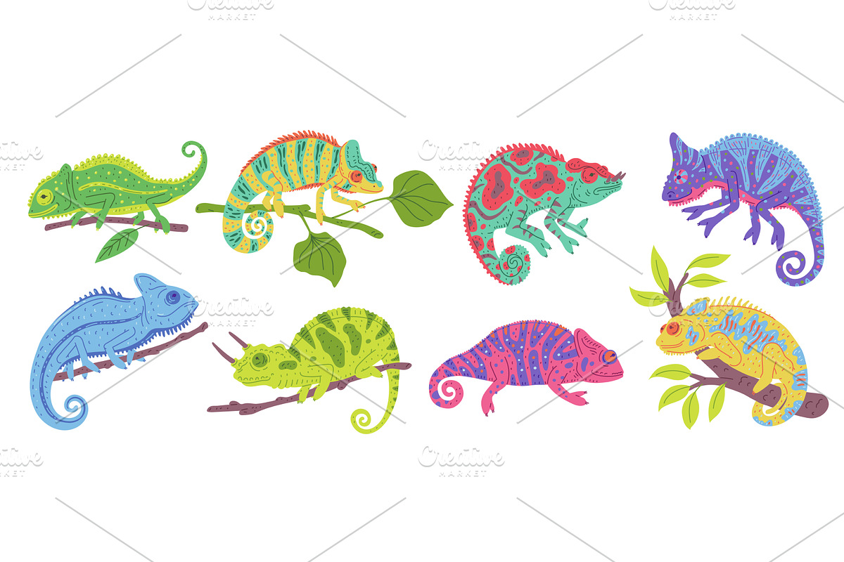 Charming vector collection, an Animal Illustration by Sabelskaya