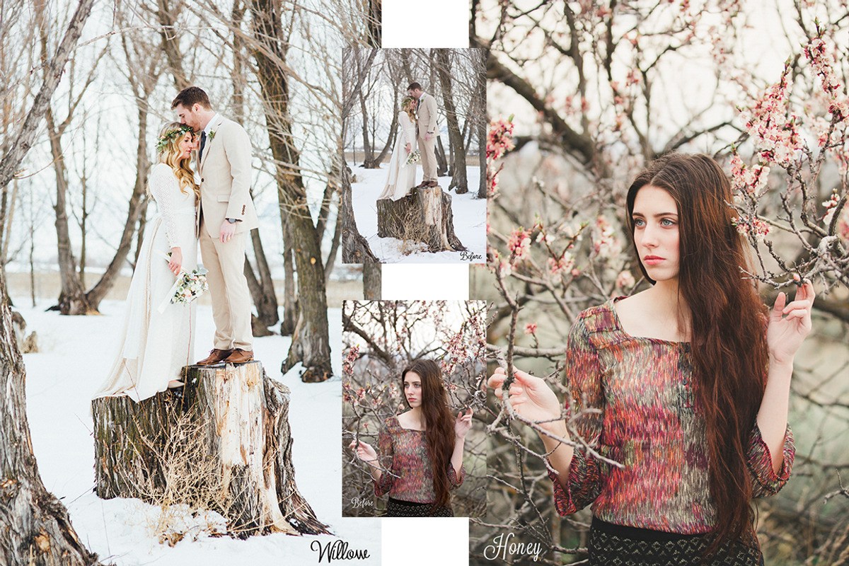 Classic Matte Presets-Lightroom, a Plug-in Add-On by ElyanaIvette (Photo 7 of 9)
