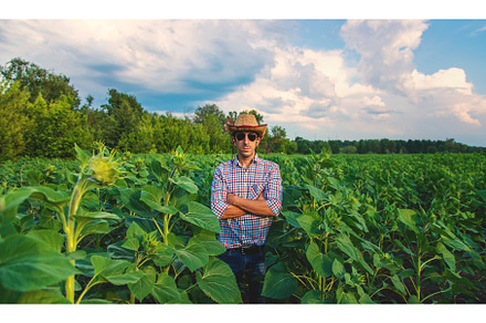 Field sunflowers farmer in the field, a Nature Photo by yanadjana