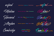 Azkia Script - 1200+ Glyphs, a Script Font by Hendra Pratama (Thumbnail 5 of 12)