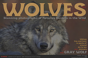 ICARUS - Serif font family, a Serif Font by Artistic & Unique (Thumbnail 9 of 15)