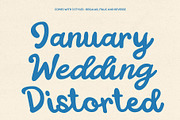 CS Lindy - Nostalgic Bold Script, a Script Font by Craft Supply Co. (Thumbnail 4 of 8)