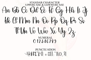 Winter Disney, a Handwritten Font by FreshTypeINK (Thumbnail 3 of 8)