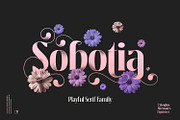 Sobotia - Playful Serif family, a Serif Font by creativemedialab (Thumbnail 1 of 10)