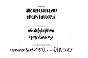 La Fontaine Brush Font, a Script Font by Renata Chizhikova (Thumbnail 7 of 7)