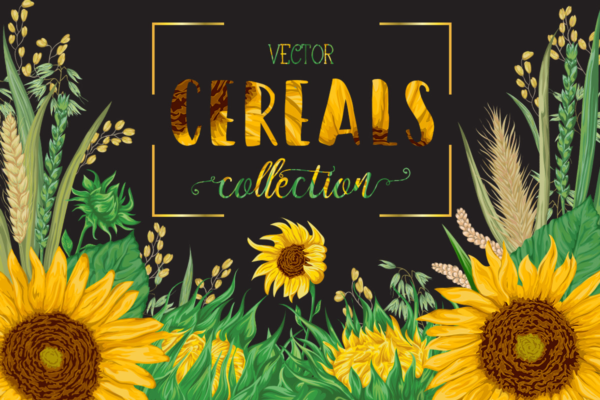 Cereals set, a Decorative Illustration by kateja (Photo 1 of 5)
