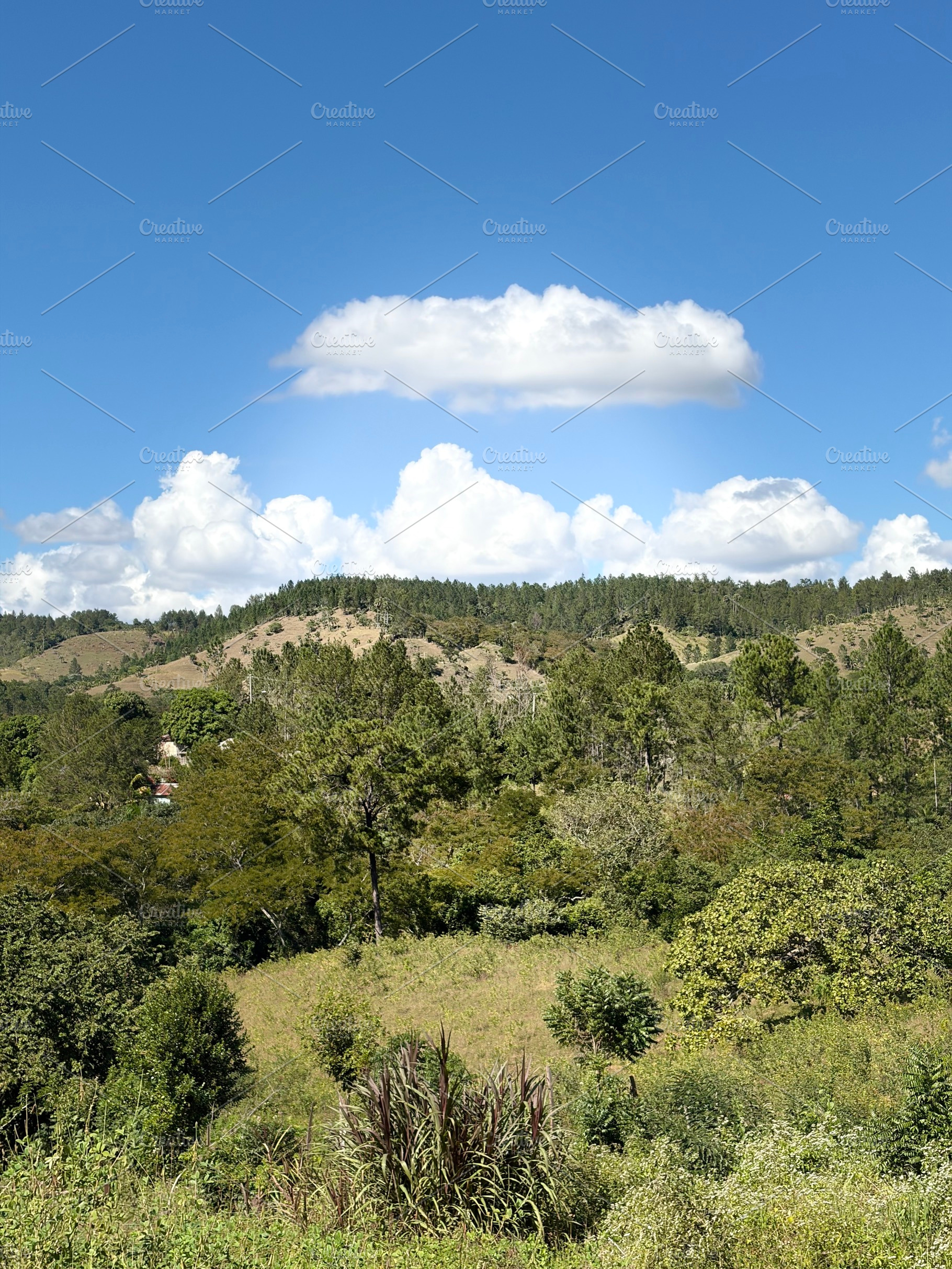 Mountain View With Cloud, a Nature Photo by Color FFF
