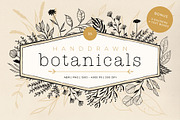 Handdrawn Botanicals, an Illustration by Ramona Schratt (Thumbnail 1 of 8)