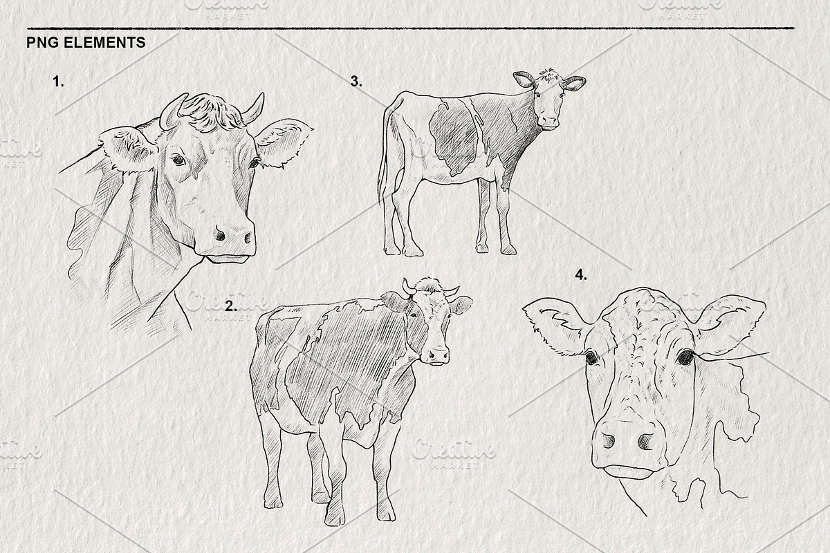 Sketch of a cow PNG, an Animal Illustration by LOKSKIH (Photo 3 of 7)