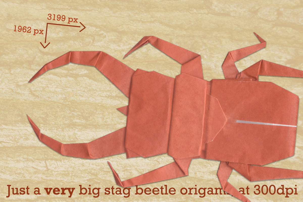 Stag Beetle Origami, hi-res, an Object Graphic by Shirakawa Maya (Photo 2 of 5)