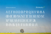 Nemonty - Minimalist Font, a Serif Font by Salamahtype (Thumbnail 6 of 9)